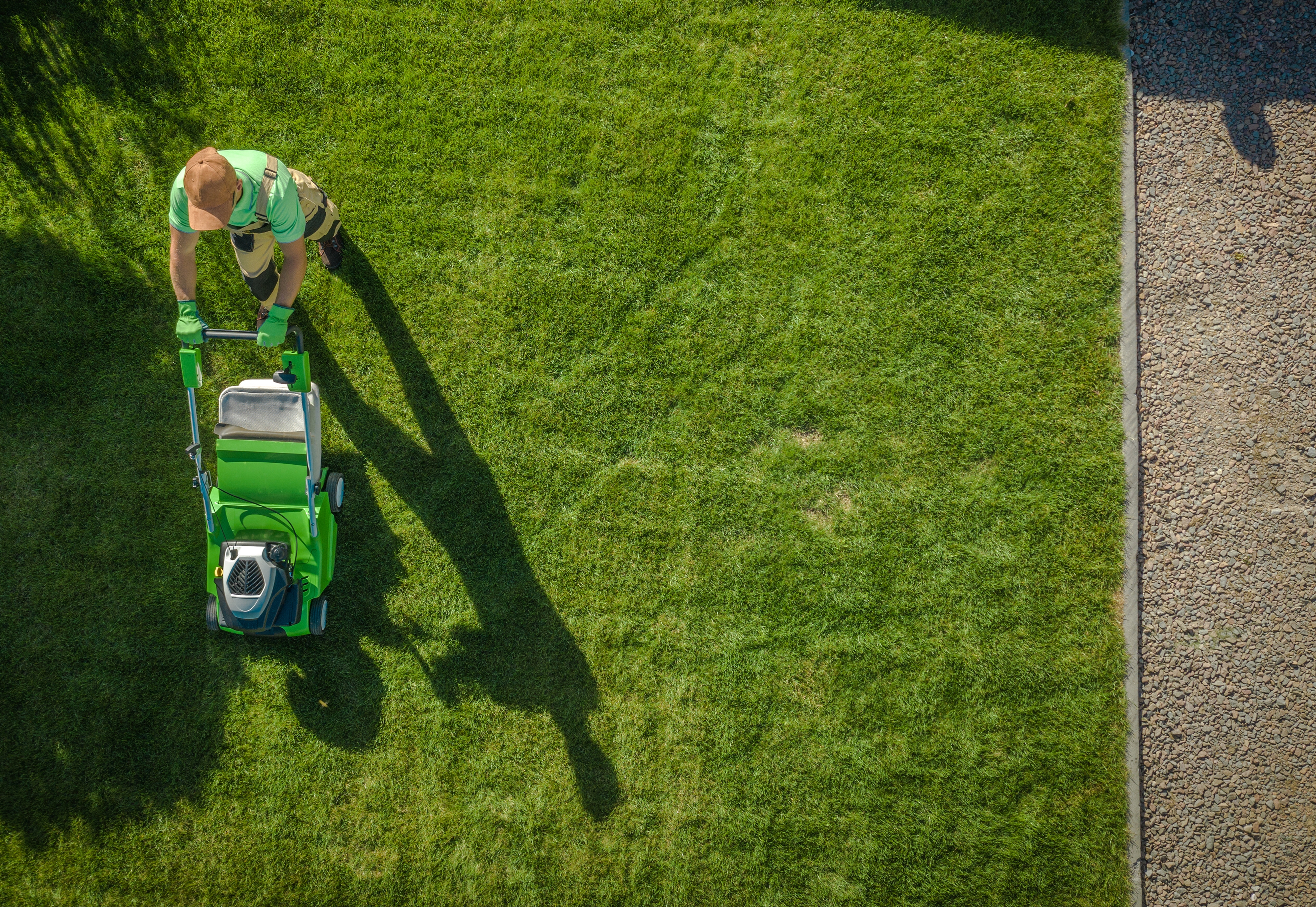 Servei de jardineria professional a Andorra